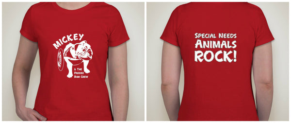 DM104L - LADIES 100% COTTON RING SPUN T-SHIRT